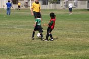 IMG_4387
