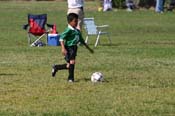 IMG_4407