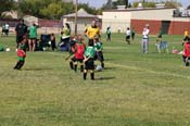 IMG_4414
