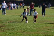IMG_5062