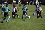 IMG_3882