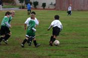 IMG_5919
