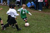 IMG_5967