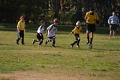 IMG_6775