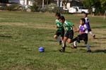 IMG_0819