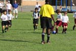 IMG_1151