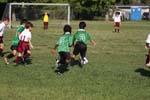IMG_1831