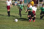 IMG_1882