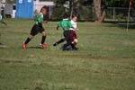IMG_1886