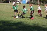 IMG_1894