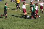 IMG_1906