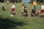 IMG_1924
