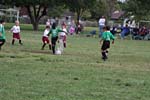 IMG_2270