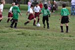 IMG_2271