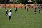IMG_2483
