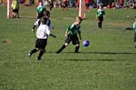 IMG_2485