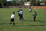 IMG_2490