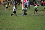 IMG_2525
