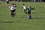IMG_2528