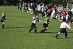 IMG_2535