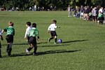 IMG_2537