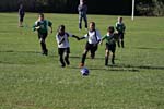 IMG_2552