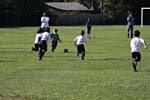 IMG_2554