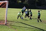 IMG_2567