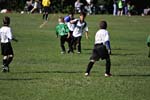 IMG_2578