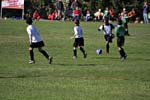 IMG_2598