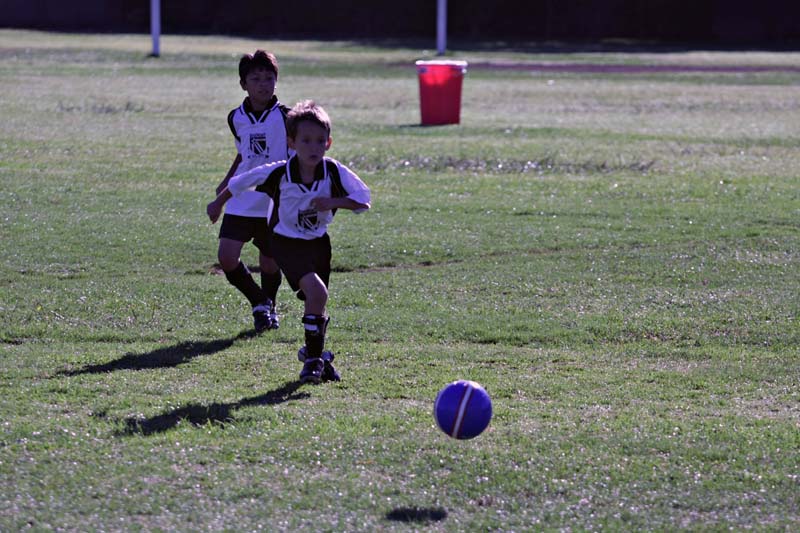 IMG_2953