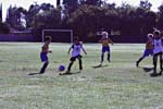 IMG_2901