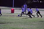 IMG_2923