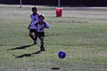 IMG_2953
