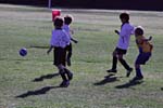 IMG_2968