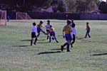 IMG_2996