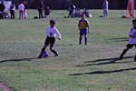 IMG_3006