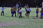 IMG_3019