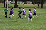 IMG_3337