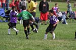 IMG_3347