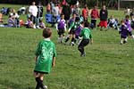 IMG_3353