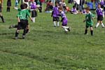 IMG_3368