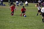 IMG_3751