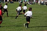 IMG_3756