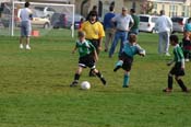 IMG_5761