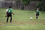 IMG_4150