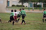 IMG_4203