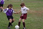 IMG_4528
