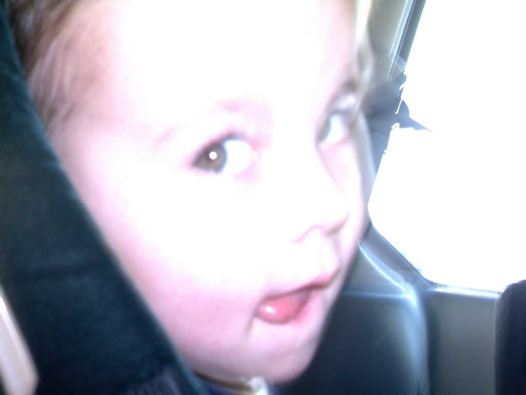 IMAG0012