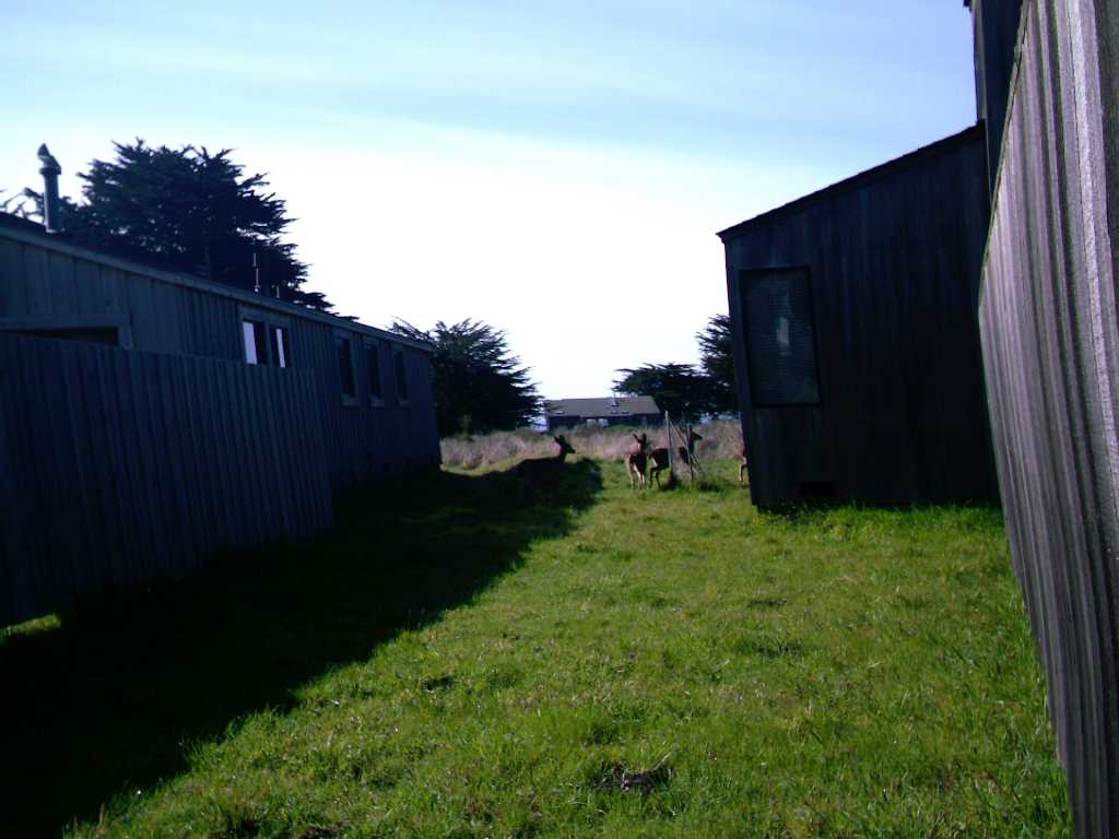 IMAG0070